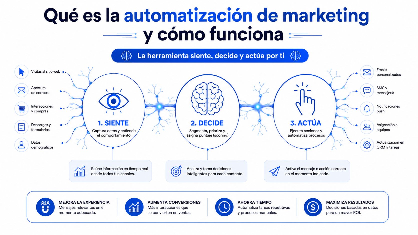 Infografía sobre cómo funciona la automatización de marketing dividida en tres etapas: siente, decide y actúa.